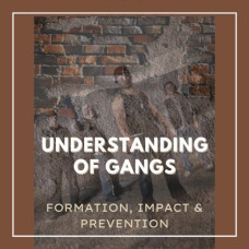 Understanding of Gangs: Formation, Impact & Prevention
